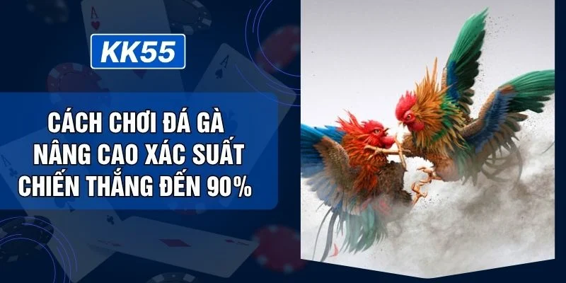 Cách Chơi Đá Gà Nâng Cao Xác Suất Chiến Thắng Đến 90% 
