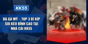 Đá Gà Mỹ – Top 3 Bí Kíp Soi Kèo Đỉnh Cao Tại Nhà Cái KK55