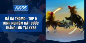 Đá Gà Thomo - Top 5 Kinh Nghiệm Đặt Cược Thắng Lớn  Tại KK55