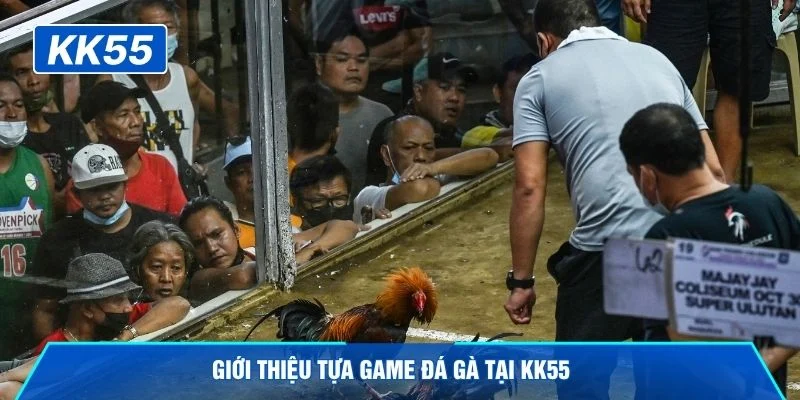 Giới thiệu tựa game đá gà tại KK55 