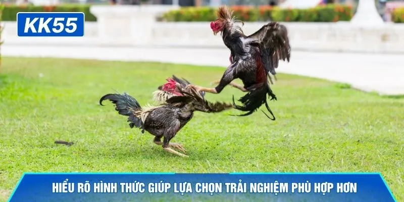 Hiểu rõ hình thức giúp lựa chọn trải nghiệm phù hợp hơn