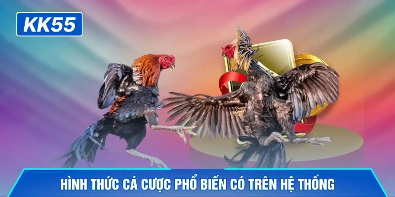 Hình thức cá cược phổ biến có trên hệ thống