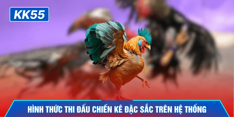 Hình thức thi đấu chiến kê đặc sắc trên hệ thống