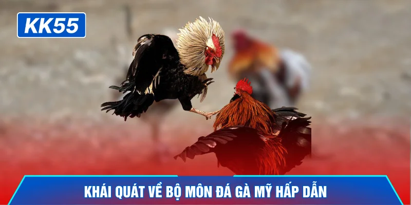 Khái quát về bộ môn đá gà Mỹ hấp dẫn