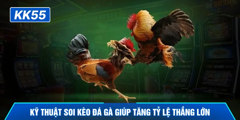 Kỹ thuật soi kèo đá gà giúp tăng tỷ lệ thắng lớn