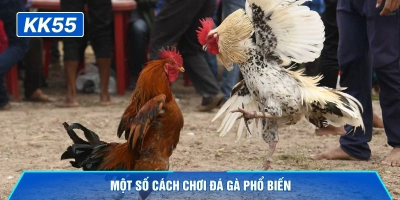 Một số cách chơi đá gà phổ biến 