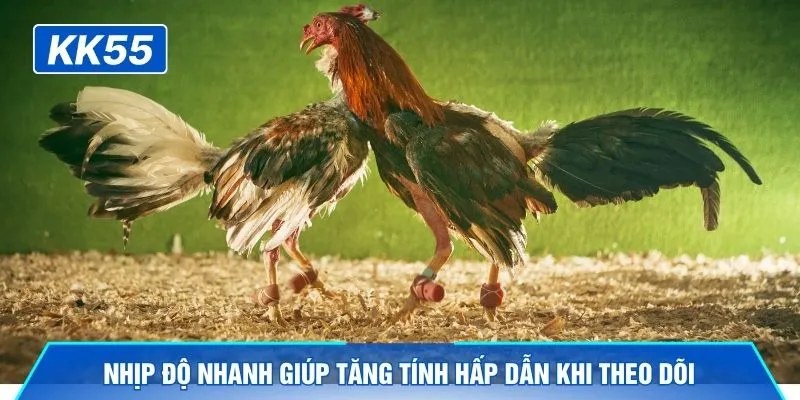 Nhịp độ nhanh giúp tăng tính hấp dẫn khi theo dõi