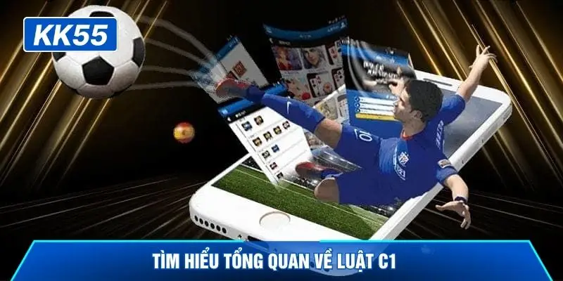 Tìm hiểu tổng quan về luật C1 